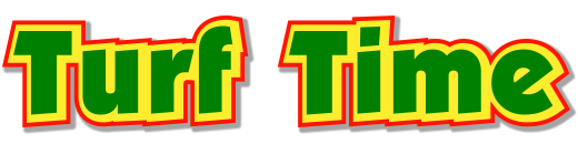 Turf Time Logo